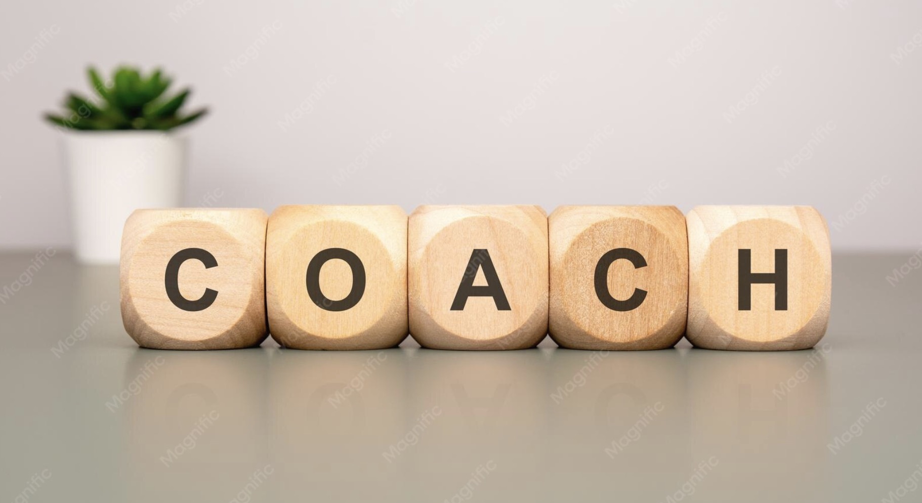 Je bekijkt nu Coaches gezocht!